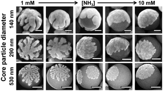 Towards entry "New article published on the synthesis of silver patchy particles"