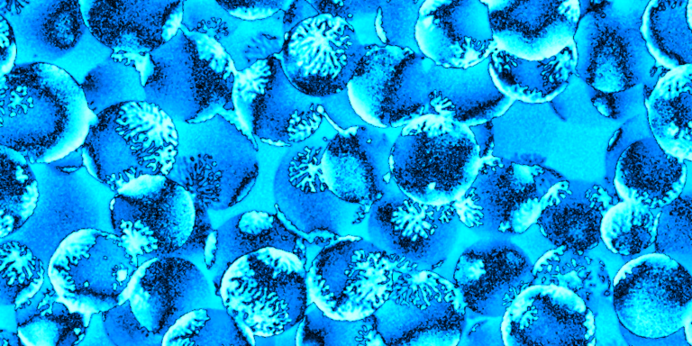 Featured image for Publications